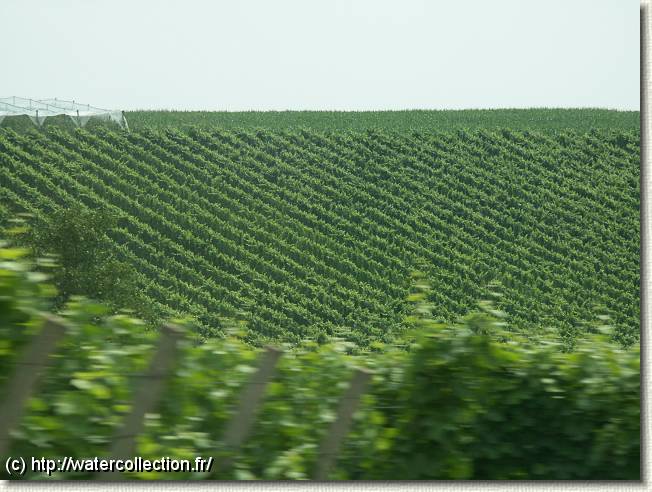 Diapositive suivante